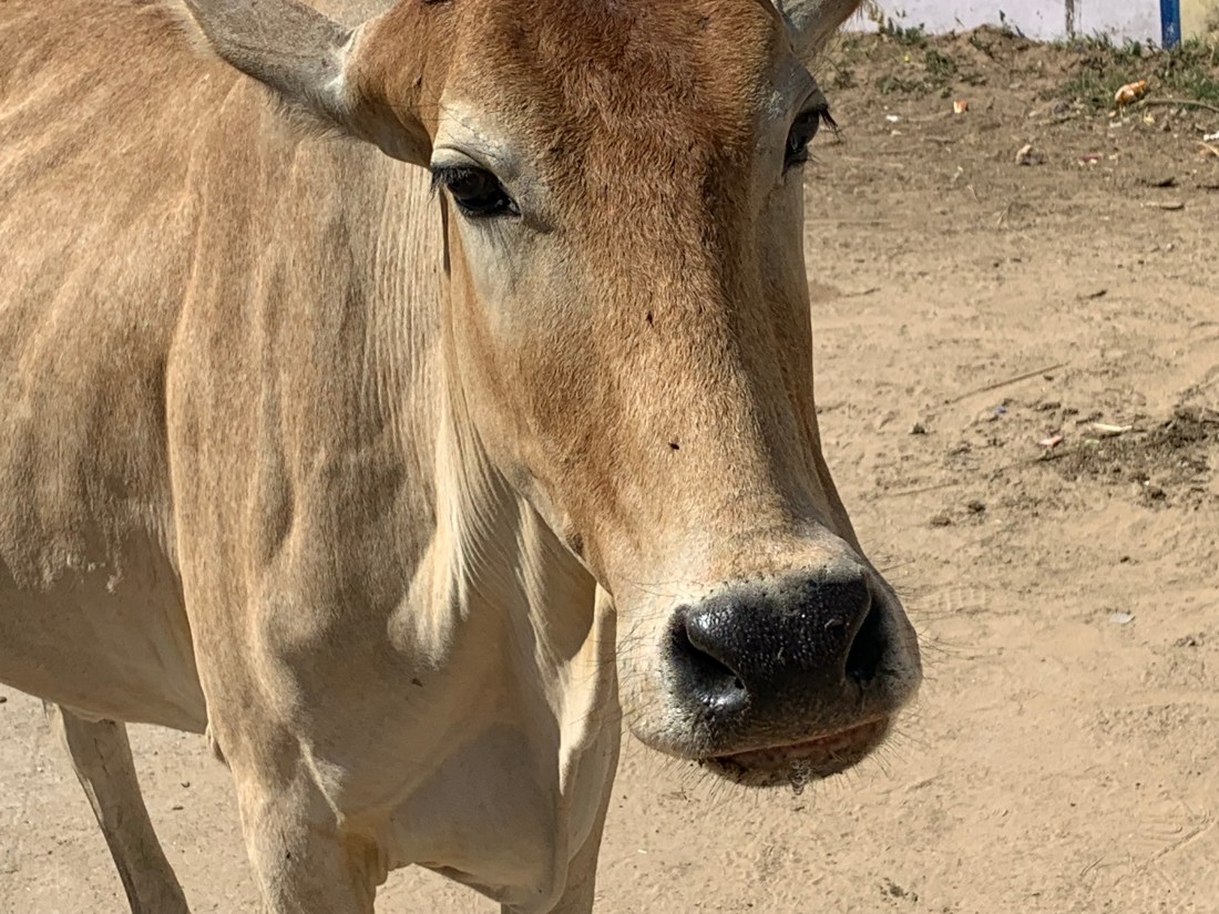 eelYfRUyRJWiO20EQC3H7g