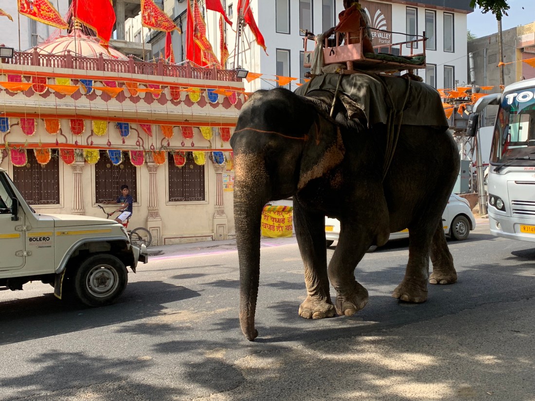 lD9X9GopSnCl3jn3Yob1nQ