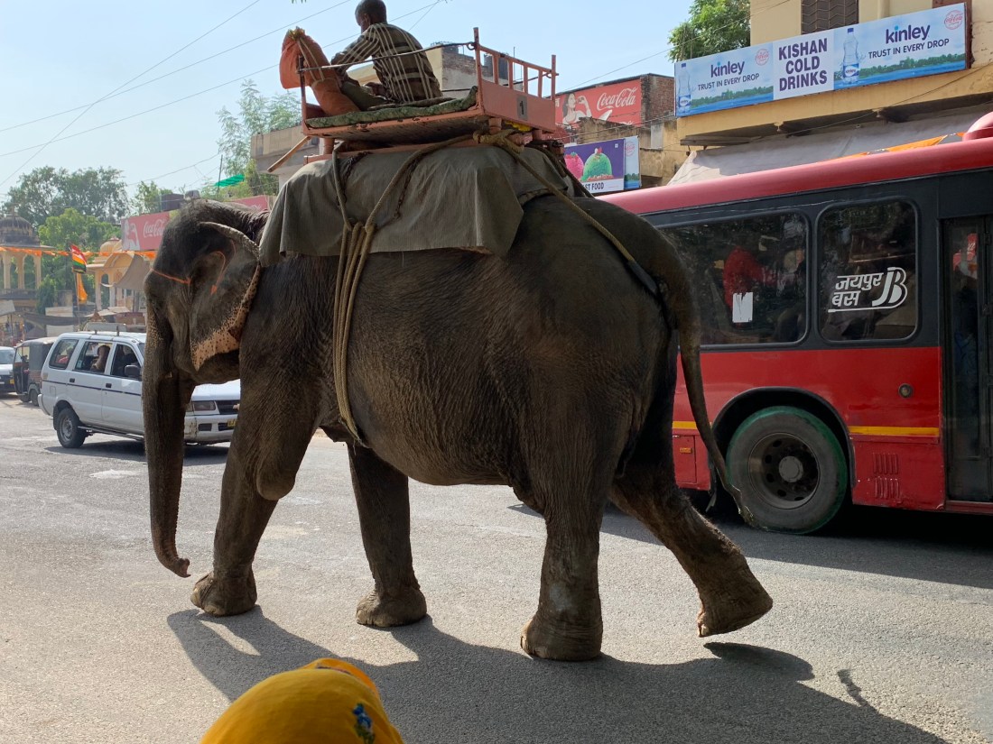 nmZjQlCGQbmaOZH2wH8pKA